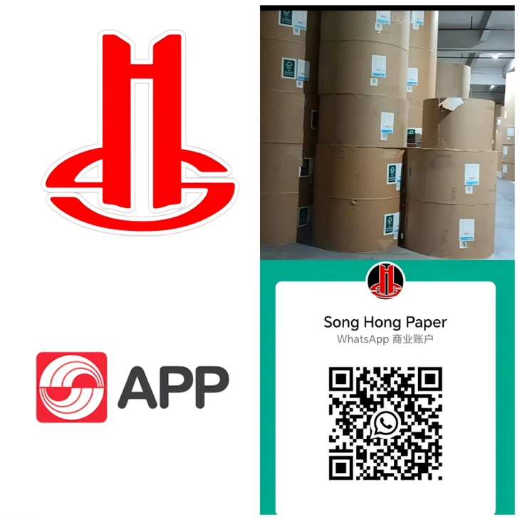 App papir recikliran obloženi bijela dupleksna ploča na ploči