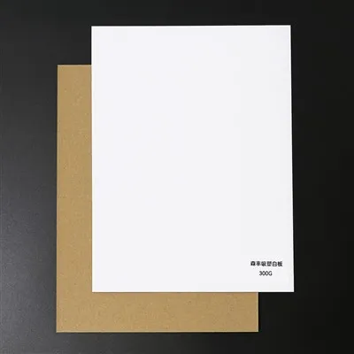Senfeng Blister Whiteboard Paper Huizhou Songhong Industrial Co., Ltd.
